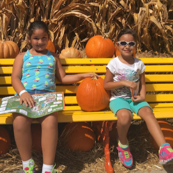 Meet your Posher, Mac - Picture 1 of 1